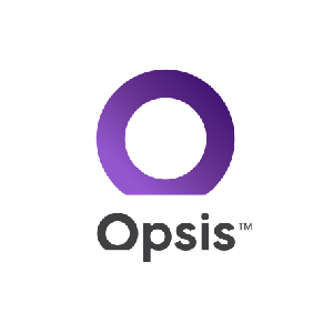 Opsis